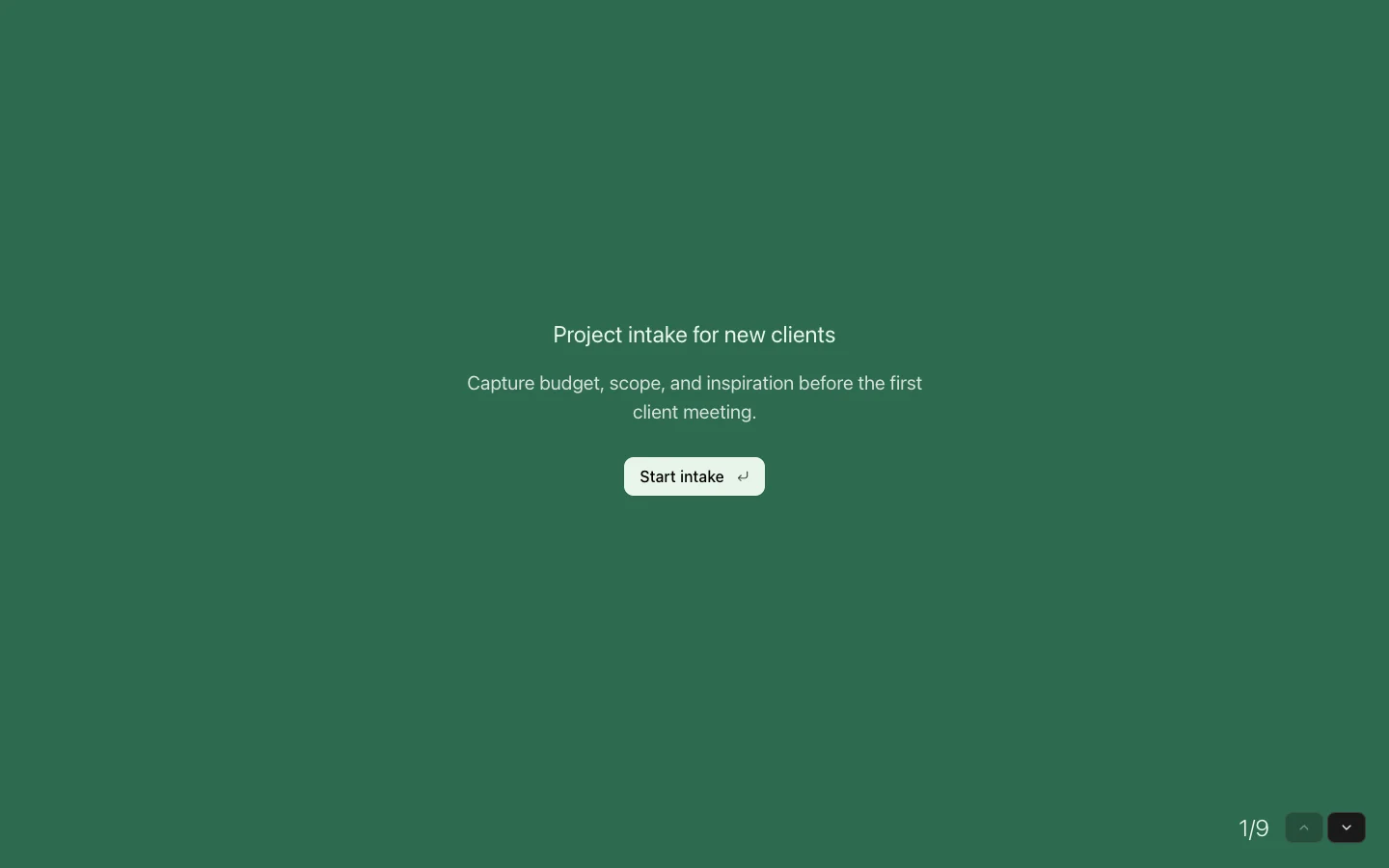 Freelancer Client Intake Form preview