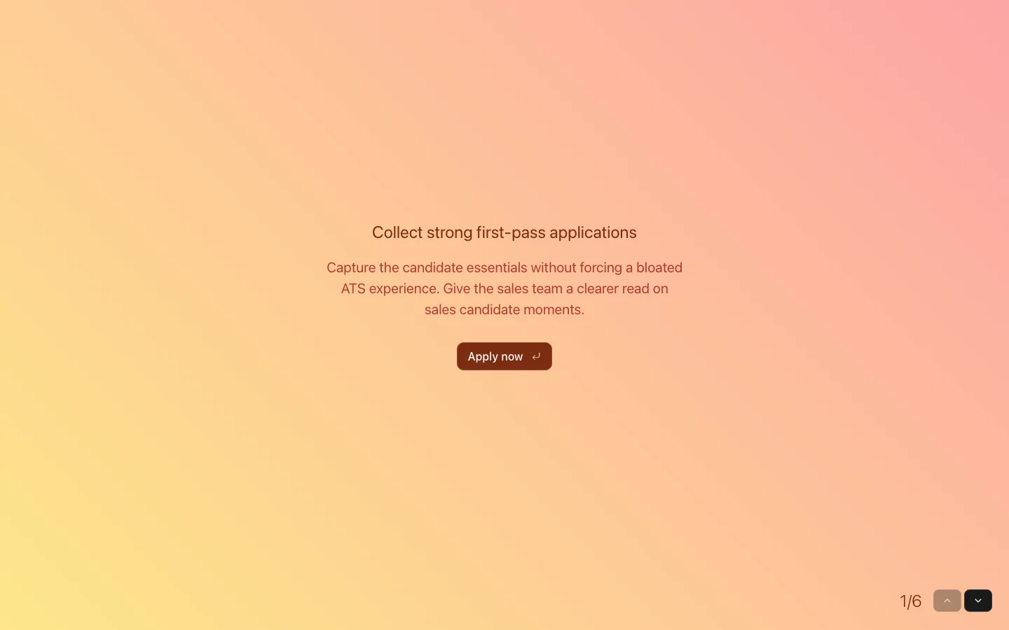 Sales Candidate Application Form preview